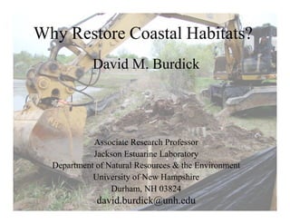 Why Restore Coastal Habitats?
David M. Burdick


Associate Research Professor

Jackson Estuarine Laboratory

Department of Natural Resources & the Environment

University of New Hampshire

Durham, NH 03824


david.burdick@unh.edu


 