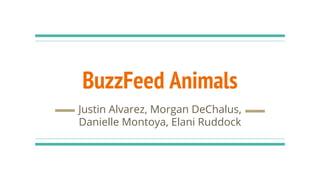 BuzzFeed Animals
Justin Alvarez, Morgan DeChalus,
Danielle Montoya, Elani Ruddock
 