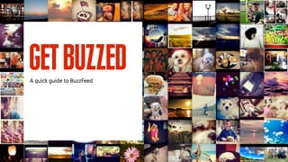 GETBUZZEDA quick guide to BuzzFeed
 