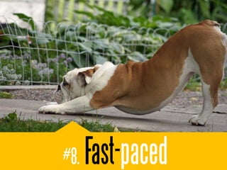#8.   Fast-paced
 