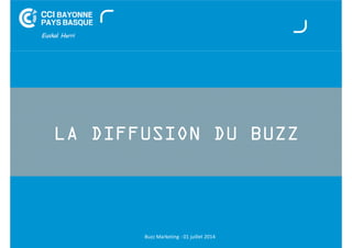 LA DIFFUSION DU BUZZ 
Buzz Marketing - 01 juillet 2014 
 