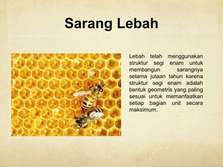 Sarang Lebah
Lebah telah menggunakan
struktur segi enam untuk
membangun sarangnya
selama jutaan tahun karena
struktur segi enam adalah
bentuk geometris yang paling
sesuai untuk memanfaatkan
setiap bagian unit secara
maksimum.
 
