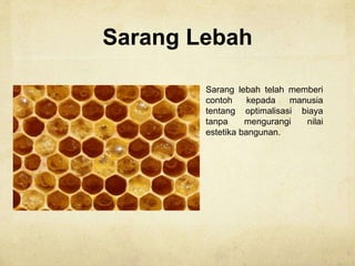 Sarang Lebah
Sarang lebah telah memberi
contoh kepada manusia
tentang optimalisasi biaya
tanpa mengurangi nilai
estetika bangunan.
 