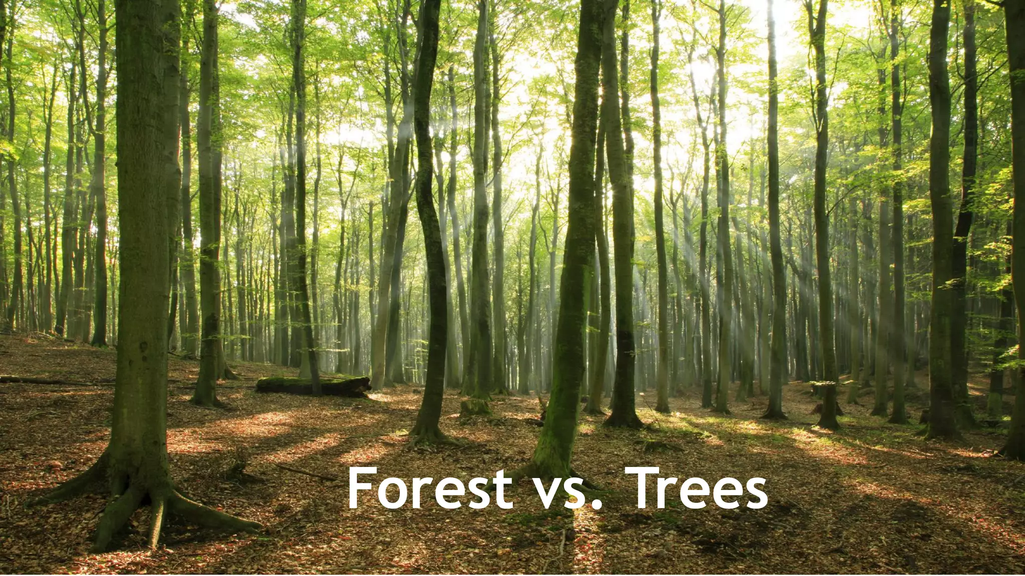 What if I Told You
Your 2% CTR Is That GreatForest vs. Trees
 