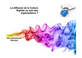 La diffusion de la Culture
          Digitale au sein des
              organisations ?




Site institutionnel
     (Marque)
 