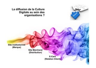La diffusion de la Culture
          Digitale au sein des
              organisations ?




Site institutionnel
     (Marque)
                      Site Marchand
                      (Distribution)
                                            E-Care
                                       (Relation Client)
 