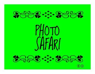 PHOTO
SAFARI
qrFqr!
qrFqr!
 
