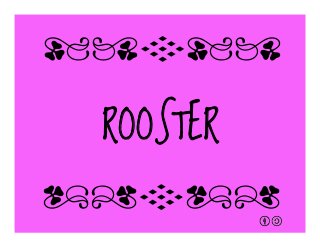 ROOSTER
qrFqr!
qrFqr!
 