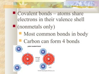  Covalent bonds – atoms share
electrons in their valence shell
 (nonmetals only)
 Most common bonds in body
 Carbon can form 4 bonds
 