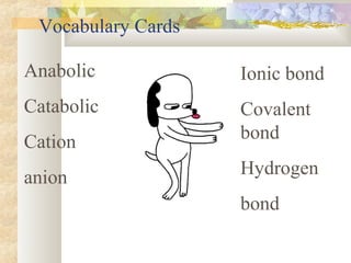 Vocabulary Cards
Anabolic
Catabolic
Cation
anion
Ionic bond
Covalent
bond
Hydrogen
bond
 