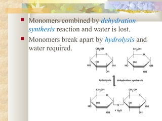  Monomers combined by dehydration
synthesis reaction and water is lost.
 Monomers break apart by hydrolysis and
water required.
 
