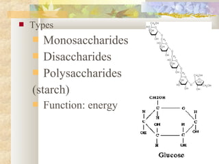  Types
 Monosaccharides
 Disaccharides
 Polysaccharides
(starch)
 Function: energy
 