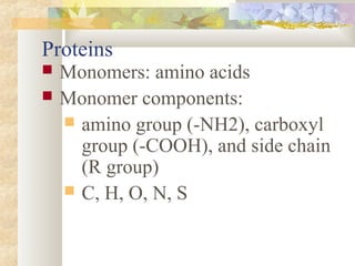 Proteins
 Monomers: amino acids
 Monomer components:
 amino group (-NH2), carboxyl
group (-COOH), and side chain
(R group)
 C, H, O, N, S
 