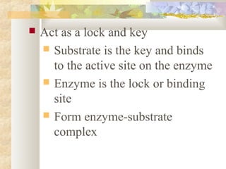  Act as a lock and key
 Substrate is the key and binds
to the active site on the enzyme
 Enzyme is the lock or binding
site
 Form enzyme-substrate
complex
 