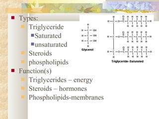  Types:
 Triglyceride
Saturated
unsaturated
 Steroids
 phospholipids
 Function(s)
 Triglycerides – energy
 Steroids – hormones
 Phospholipids-membranes
 