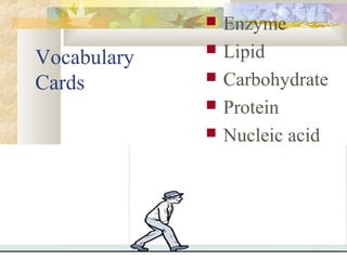 Vocabulary
Cards
 Enzyme
 Lipid
 Carbohydrate
 Protein
 Nucleic acid
 