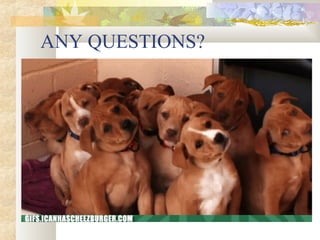 ANY QUESTIONS?
 