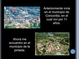 Anteriormente vivía 
en el municipio de 
Concordia, en el 
cual viví por 11 
años. 
Ahora me 
encuentro en el 
municipio de la 
pintada. 
 