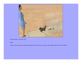 Unsurprisingly, it was the cats.

Again.

Luckily, they were able to lock the animals out of the house. Unluckily, they couldn't stop them from fighting.
 