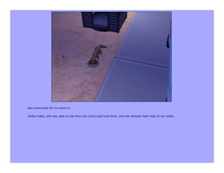 and convinced her to move in.

Unlike Sake, she was able to eat from the (new) pet food bowl, and she already had most of her skills.
 