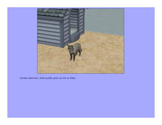 Sunday afternoon, Kobe quietly grew up into an Elder.
 