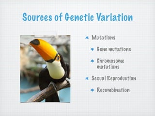 Sources of Genetic Variation
                 Mutations

                   Gene mutations

                   Chromosome
                   mutations

                 Sexual Reproduction

                   Recombination
 