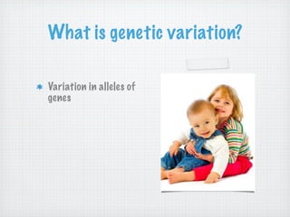 What is genetic variation?

Variation in alleles of
genes
 