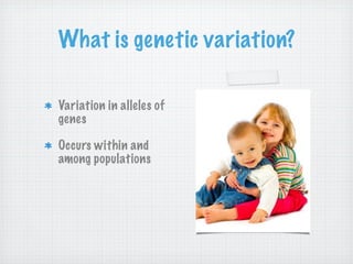 What is genetic variation?

Variation in alleles of
genes

Occurs within and
among populations
 