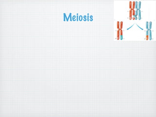 Meiosis
 