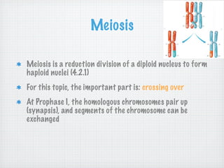 Meiosis

Meiosis is a reduction division of a diploid nucleus to form
haploid nuclei (4.2.1)
For this topic, the important part is: crossing over
At Prophase I, the homologous chromosomes pair up
(synapsis), and segments of the chromosome can be
exchanged
 