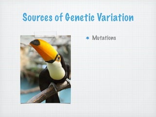 Sources of Genetic Variation
                 Mutations
 
