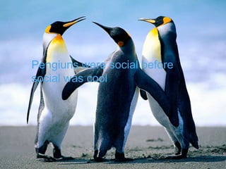 1 Source: https://www.academiaapps.com/professional-social-media/1
Pengiuns were social before
social was cool
 