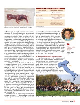 O que a infecção pode causar
Dias de gestação Consequências para o feto
Até 40 dias Morte embrionária
40 a 120 dias
Animal persistentemente
infectado (PI)
120 a 190 dias
Defeitos congênitos e
abortamento
Final da gestação
Produção de anticorpos
e eliminação viral (pode
haver comprometimento do
desenvolvimento corporal
Fonte: Instituto Biológico
de Monteveglio, na região conhecida como Emília-
-Romanha, na província de Bolonha. A propriedade
é especializada na produção do famoso Parmegiano-
-Reggiano, o verdadeiro queijo parmesão, com de-
nominação de origem controlada. Somente cinco
municípios da Planície do Rio do Pó, na região norte
da Itália, estão autorizados a fabricá-lo. Enquanto a
turma se deliciava experimentando os Parmeigiano-
-Reggiano de todas as idades – tinha de 12, 24 e 36
meses de maturação – ou a inesquecível (na opinião
deste repórter) Cattiota, um tipo de queijo fresco ita-
liano, Marcos Ablondi, consultor da Boehringer na
Itália, explicava o processo de funcionamento do
novo fármaco. A fazenda tem 380 vacas em lactação
e decidiu adotar um protocolo de vacinação contra
a BVD, que se constitui no principal problema re-
produtivo nos plantéis de gado leiteiro europeu. “Em
dois anos conseguimos reduzir as perdas embrioná-
rias de 24% para 13%”, afirmou Ablondi, que presta
assistência à propriedade.
A experiência do uso da vacina no gado de cor-
te foi apresentada por Enrico Chiavassa, renomado
veterinário italiano, que discorreu sobre a prevenção
da BVD na fábrica da Ferrari, em Maranello, local
escolhido para a apresentação oficial da Bovela aos
convidados brasileiros. Mostrando os números de um
rebanho de Piemontês, Chiavassa comparou o inter-
valo entre partos do plantel na safra 2014/2015, quan-
do as fêmeas não haviam sido vacinadas, com a safra
2016/2017, após o efeito da vacinação, realizada em
julho de 2015. O resultado foi a redução de 26 dias no
intervalo entre partos, que passou de 400 dias (13,3
meses) para 374 dias (12,4 meses). Para mostrar o
efeito disso sobre a eficiência reprodutiva do plantel,
o veterinário multiplicou as fêmeas do rebanho (157)
pelo número de dias que foram “economizados” entre
um parto e outro (26). O total (4.082 dias) foi dividido
pelo período de gestação (290 dias) e então se chegou
a um ganho de 14 bezerros a favor das fêmeas vacina-
das contra a BVD.
Para Chiavassa, tão importante quanto a melhora
no índice reprodutivo é a possibilidade de erradicar a
doença do plantel. “A vacinação impede o nascimento
de animais PI (persistentemente infectados),
que disseminam a doença para o restante do
rebanho”, disse o veterinário. A erradicação
da BVD está na pauta dos países com tradi-
ção pecuária na Europa, que já se livraram de
doenças importantes como a febre aftosa, a bru-
celose e a tuberculose.AItália tornou compulsória
a vacinação contra a BVD, assim como a Alemanha,
que instituiu a obrigatoriedade em 2011. Em seis anos,
este último país reduziu a prevalência de animais PI,
que são a principal fonte de disseminação da doença,
de 0,5% para 0,03%. Nas propriedades, o uso da vaci-
na aliada a outras medidas de controle, como a elimi-
nação de animais PI, reduziu a prevalência de 3,44%,
em 2011, para 0,16%, em 2016.
BVD abre caminho para outras doenças
Os problemas reprodutivos são a face mais visível
da BVD, que, junto com a IBR e a leptospirose,
constituem as três mais importantes doen-
ças reprodutivas, mas ela causa outros
danos, quase sempre imperceptíveis.
“O vírus causador da moléstia é imuno-
depressor, ou seja, tem a capacidade de
deprimir o sistema imunológico, abrindo
as portas para outras doenças, em especial as respi-
ratórias, principal problema sanitário em confinamen-
dezembro 2017 DBO 85
Aborto é um dos problemas causados pela doença
MaristelaPituco/IB-SP
Comitiva brasileira em visita a fazenda no norte da Itália
AltairAlbuquerque/TextoAssessoria
BVD abre portas
para outras
doenças”.
Amauri Alfieri,
da UEL
Itália
Modena
Roma
 