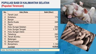 POPULASI BABI DI KALIMANTAN SELATAN
(Populasi Terancam)
No. Kab./Kota Babi (Ekor)
1 Tanah Laut -
2 Kotabaru 175
3 Banjar -...