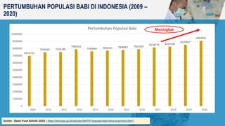 PERTUMBUHAN POPULASI BABI DI INDONESIA (2009 –
2020)
Sumber : Badan Pusat Statistik (2020) ( https://www.bps.go.id/indicat...