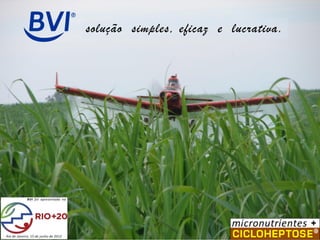 solução simples, eficaz e lucrativa.

BVI foi apresentado na

Rio de Janeiro, 15 de junho de 2012

 