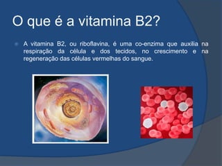 O que é a vitamina B2?A vitamina B2, ou riboflavina, é uma co-enzima que auxilia na respiração da célula e dos tecidos, no crescimento e na regeneração das células vermelhas do sangue. 