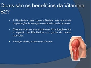 Quais são os benefícios da Vitamina B2?A Riboflavina, bem como a Biotina, está envolvida na produção de energia e metabolismo da proteína.
