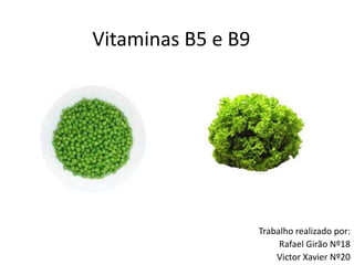 Vitaminas B5 e B9 Trabalho realizado por: Rafael Girão Nº18 Victor Xavier Nº20 