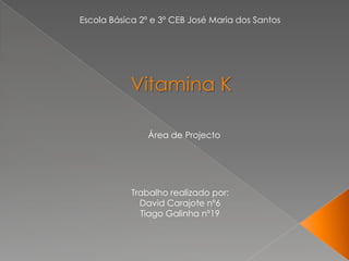 Escola Básica 2º e 3º CEB José Maria dos Santos Vitamina K Área de Projecto Trabalho realizado por:David Carajote nº6Tiago Galinha nº19 