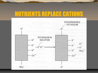 Cation Reneration Ladder Cation exchange capacity | PPT