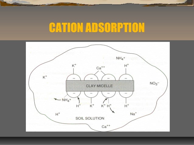 cation exchange