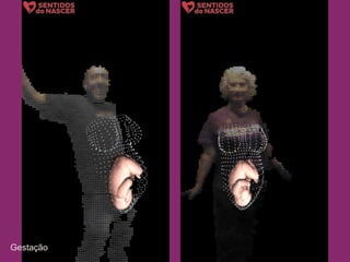 Gestação
 