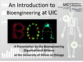 An Introduction to                            UIC
                                     UNIVERSITY OF ILLINOIS
                                               AT CHICAGO
                                                              Department of
                                                              Bioengineering




Bioengineering at UIC




   A Presentation by the Bioengineering
          Organizational Alliance
   at the University of Illinois at Chicago
 
