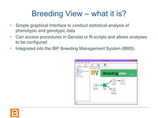 Breeding View – what it is?
 Simple graphical Interface to conduct statistical analysis of
phenotypic and genotypic data
 Can access procedures in Genstat or R-scripts and allows analyses
to be configured
 Integrated into the IBP Breeding Management System (BMS)
 