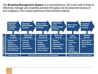 The Breeding Management System is a comprehensive, all-in-one suite of tools to
effectively manage your breeding activities throughout all development phases of
your programs, from project planning to final decision-making:
 