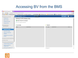 Accessing BV from the BMS
 