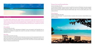 Parque Nacional Kaeng Krahan
                                                                                                                                  Provincia de Phetchaburi (Alto Golfo)
                                                                                                                                  Es el más extenso de Tailandia y ocupa casi la mitad de la superficie de la provincia de Phetchaburi. Aquí podrá contemplar
                                                                                                                                  grandes extensiones forestales, montañas, precipicios, cascadas y dos ríos en los que es habitual la práctica del rafting.
                                                                                                                                  Entre las especies animales que habitan el lugar están elefantes salvajes, tigres, ciervos, osos, jabalís, gibones, gaures y vacas
                                                                                                                                  salvajes, entre otros.

                                                                                                                                  Phetchaburi
                                                                                                                                  Provincia de Phetchaburi (Alto Golfo)
                                                                                                                                  Llamada “la ciudad del diamante”, es la puerta de entrada a la península. Entre sus atractivos subrayar Wat Khao Lang y
ALTO GOLFO                                                                                                                        Wat Yai Suvannaram.

Sus cataratas, bosques, pintorescas islas y parques naturales le proporcionarán el marco ideal para unas vacaciones de
ensueño. El sur es la zona más visitada de Tailandia, ya que aquí se encuentran las más bellas playas, paradisíacas islas y una
cultura de influencia malaya. Aquí descubrirá sorprendentes paisajes, la tranquilidad de la costa y multitud de actividades
para los más aventureros. Piérdase por uno de los más fascinantes destinos del sudeste asiático y compruebe todo lo que éste
le puede ofrecer.

Chumphon
Provincia de Chumphon (Alto Golfo)
La capital de la provincia se ubica a 500 kilómetros de Bangkok. Su playa más importante es Hat Thung Wua Laen, con
una extensión de 4 kilómetros. Las pequeñas islas y playas de la zona atraen a los aficionados al submarinismo por sus
espléndidos arrecifes.

Hua Hin
Provincia de Prachuap Khiri Khan (Alto Golfo)
Durante mucho tiempo fue uno de los destinos favoritos del turismo nacional y hoy en día la realeza sigue haciendo uso del
palacio que el monarca Rama VI mandó construir aquí, el Phra Ratchawang Klai Kangwon. Está hecho con tejas de oro y se
levanta a orillas del mar. En la playa principal podrá practicar surf y la vela y surcar el mar en una moto acuática. Wat Khao
Takiap es el templo más interesante de la zona.
 