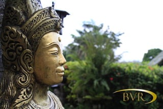 BVR - PHUKET