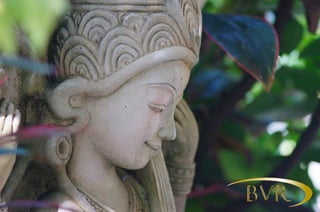 BVR - PHUKET